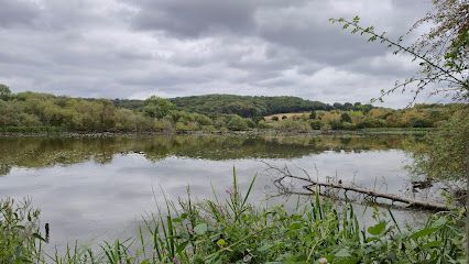 Denaby Ings Nature Reserve